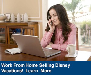 learn how to work from home as a Disney Travel Agent
