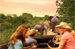 Current Special Offers and Adventures by Disney Vacation Packages