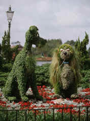 Lady and the Tramp topiaries at the 2005 Epcot Garden Festival