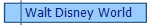  Walt Disney World