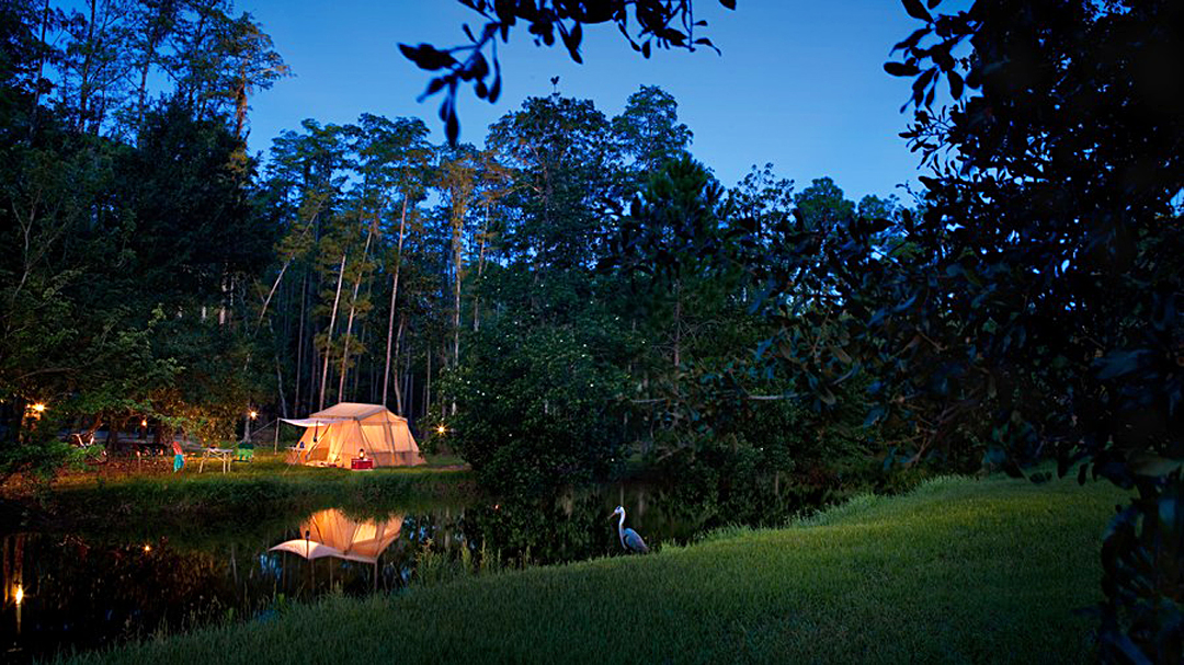 Save 20% on Campsites at Disney’s Fort Wilderness Resort This Spring