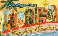 Florida Residents Get Great Rates This Summer at the Walt Disney World Resort 