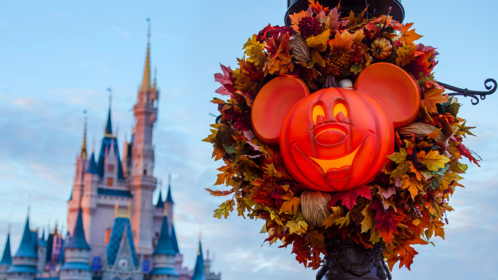 Introducing the Ultimate Disney Fall into Magic Package at Walt Disney World from Academy Travel a Platinum Earmarked Travel Agency